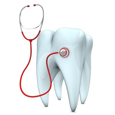 diagram of a tooth in vienna va